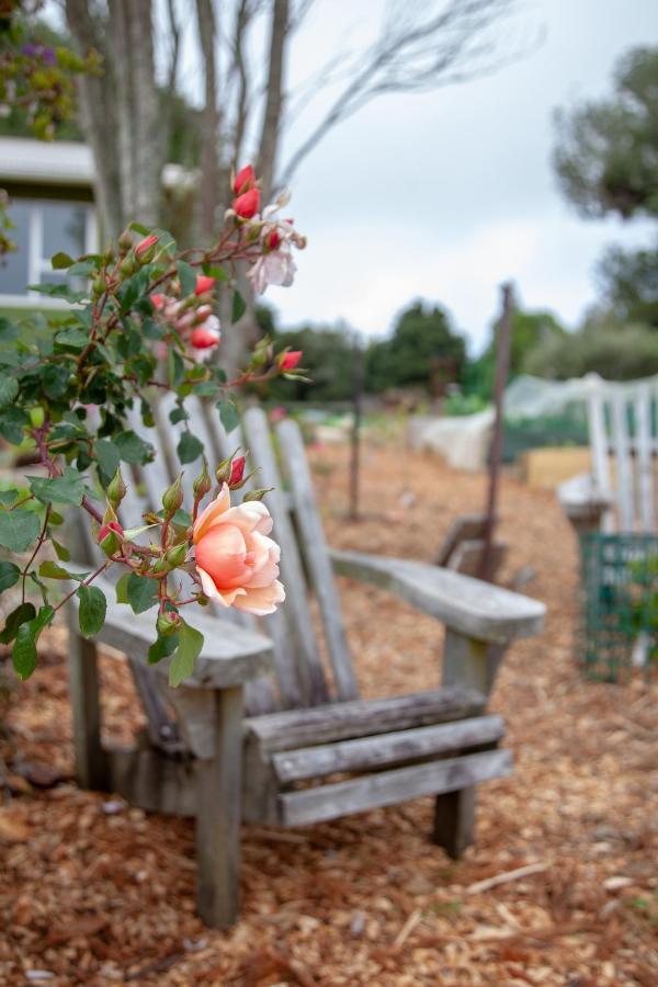 Kereru Cottage Mauku Exterior photo